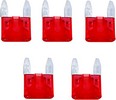 Namz Fuses - Mini - 10 Amp - 5 Pack Fuse Mini 10A 5Pk