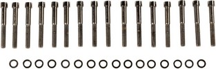 Drag Specialties Black Chrome Socket-Head Primary Cover Bolt Kit Smoot