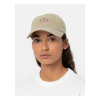 Dickies Hardwick Cap Desert Sand One Size Fits Most