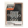 Colony, Disc Brake Rotor To Hub Screw Kit. Rear 81-84 Fl, 79-91 Fx, Xl