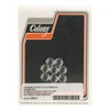 Colony Countersunk Flatwashers #10 Multifit