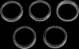James Gasket Gasket Exhaust Pipe To Cylinder Head Graphite Ex Gskt Bt/
