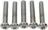 Drag Specialties Button-Head Bolt 1/4-20X2 Chrome 1/4X20X2 Button Head