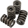 ''Jims 600'''' Spring Set Evo Bt Valve Spring Set .600'''' Lift''