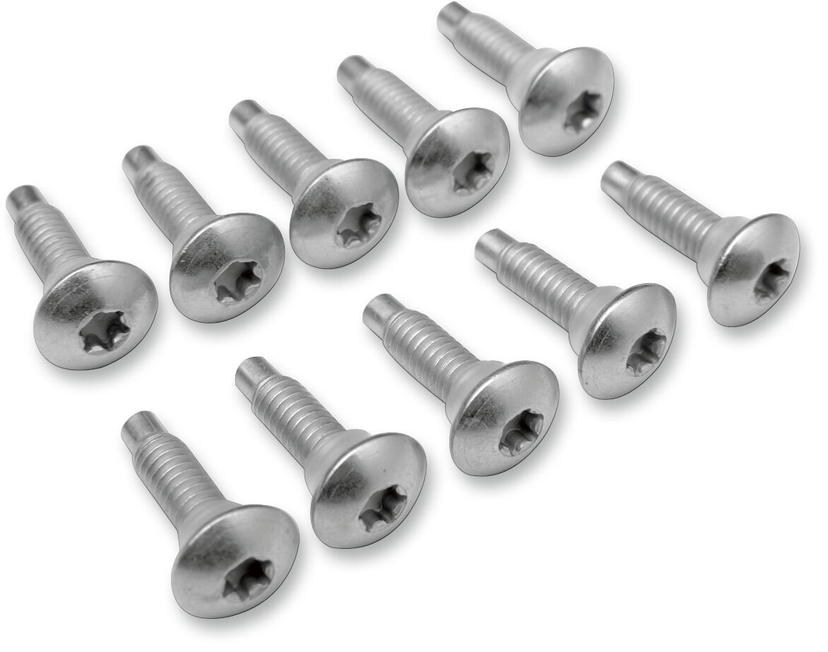 Efi Mount Screws Screw Efi Mnt(1311D) 10Pk Blixt&Dunder