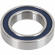 Parts Unlimited Bearing 25 X 42 X 9 MM