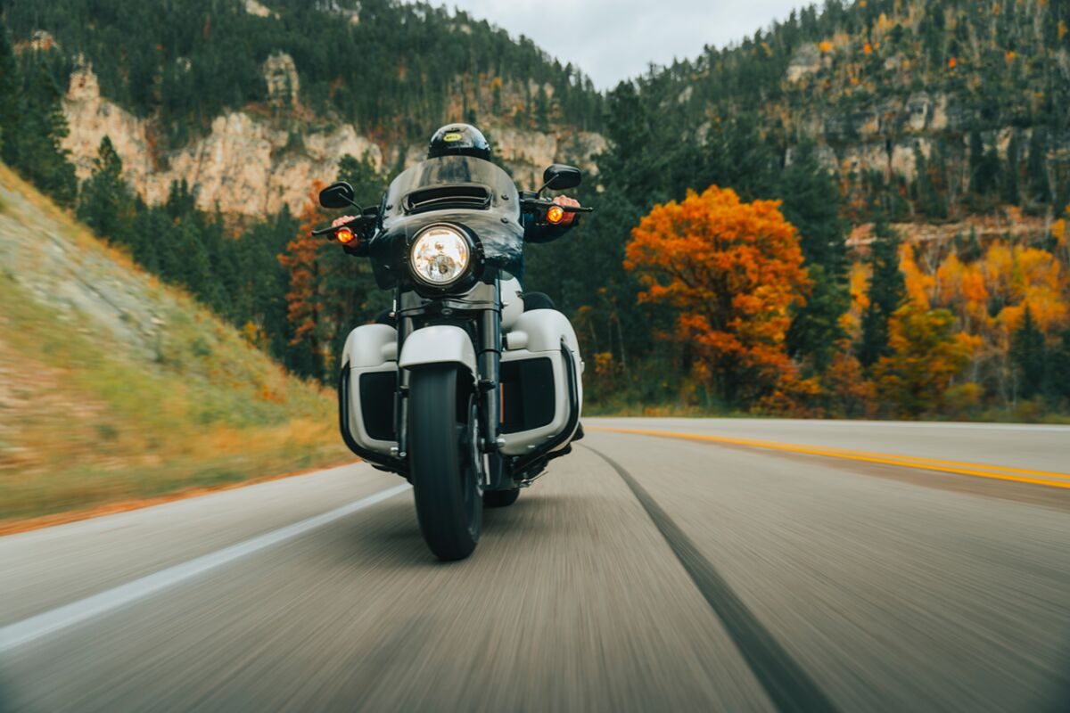 Legend Suspension Fork Spr/Cart 41Mm Axeo Fork Springs Standard 41M