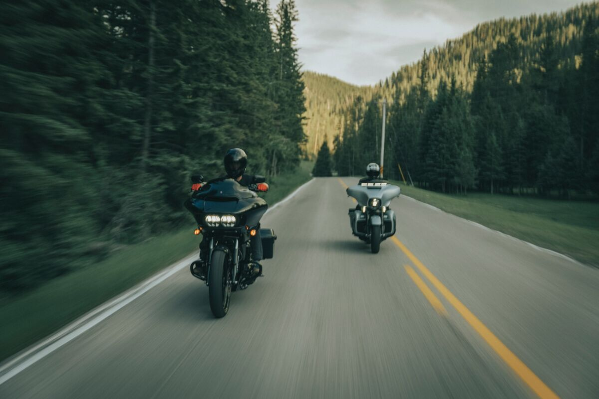 Legend Suspension Fork Spr/Cart 41Mm Axeo Fork Springs Standard 41M