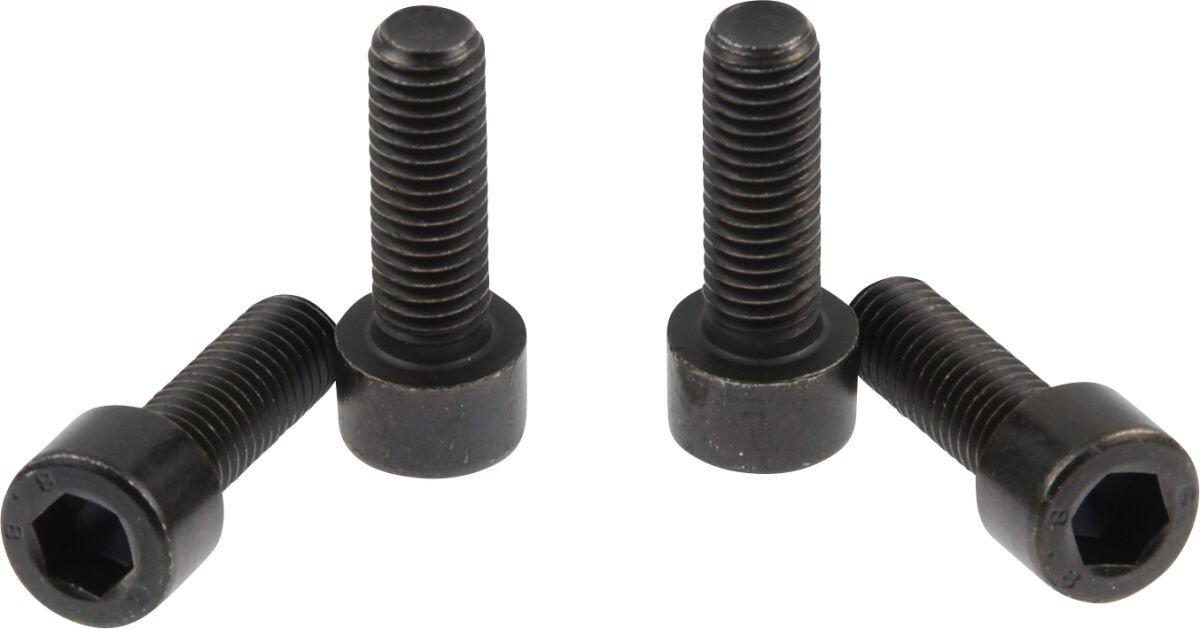 Cult Werk Triple Clamp Screws Vrod Triple Clamp Screws Vrod