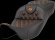 Saddlemen Roadsofaâ?¢ Seat - Lattice Stitch - Orange Stitch - Extended Saddlemen Roadsofaâ?¢ Seat - Lattice Stitch - Orange Stitch - Extended