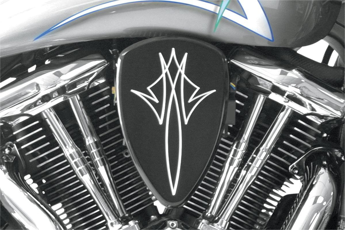 Baron Air Cleaner Kit Big Air  Pinstripe Black Big Air Kt Pstrp Bk Xvs