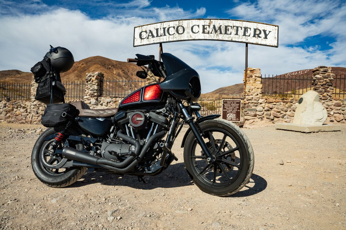 Burly Brand Shocks 13