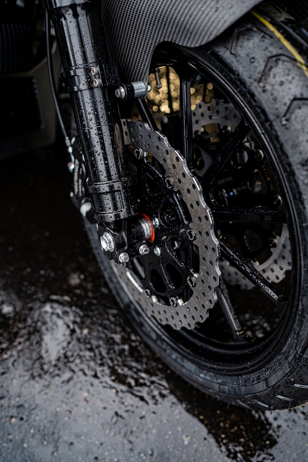 Slyfox Rotor Fr 10Sp 13