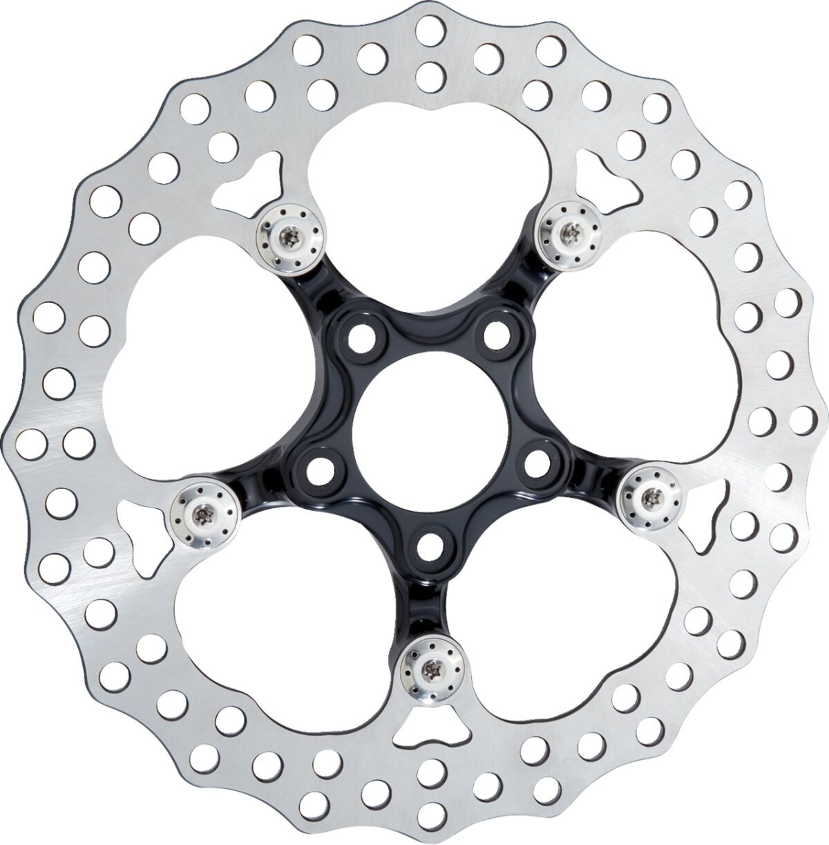 Arlen Ness Spider Rotor - 11-4/5Th