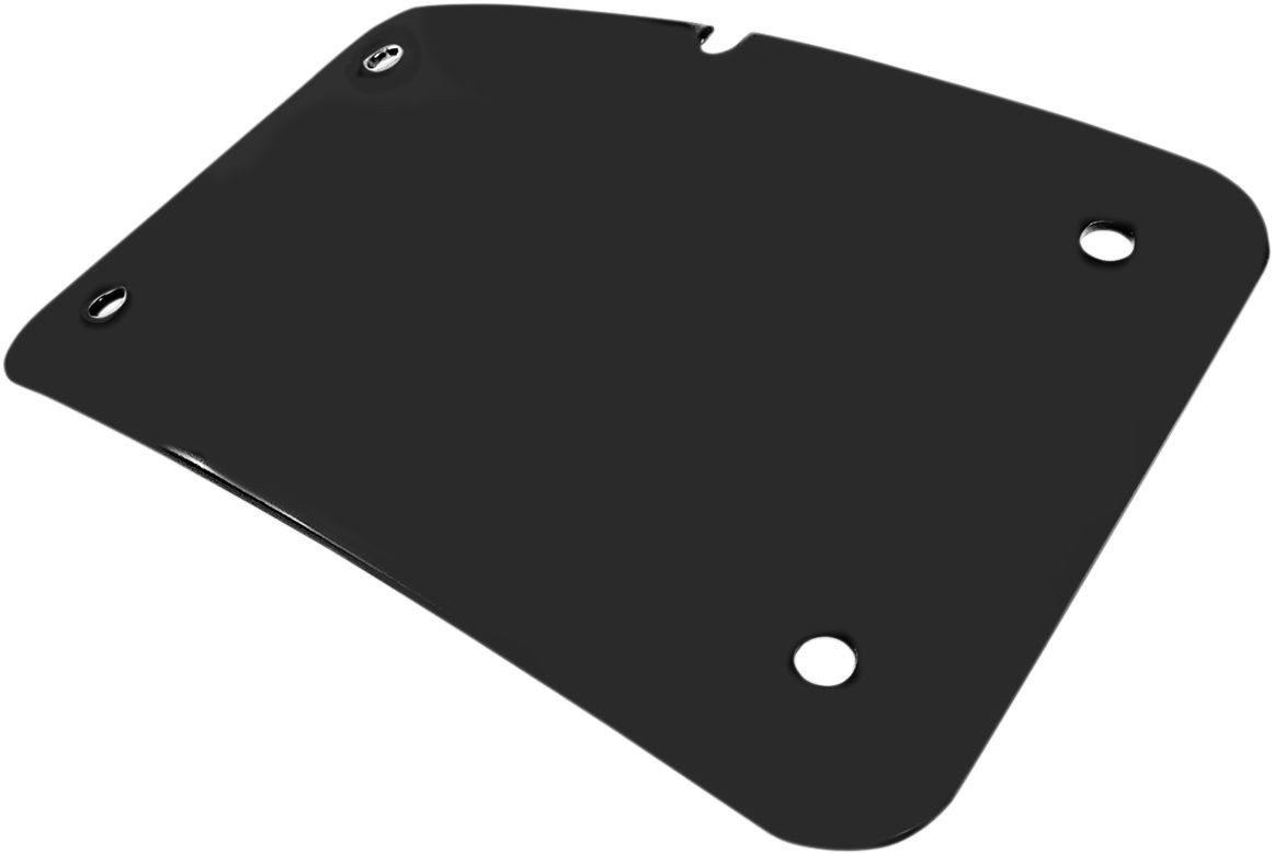 Cycle Visions Mount Lp 3 Hole Blk Mount Lp 3 Hole Blk