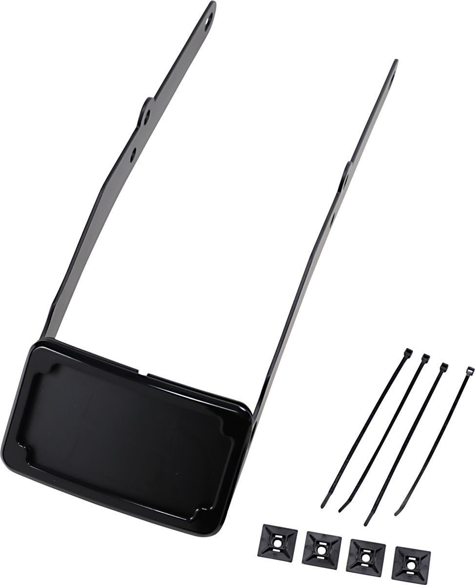 Cycle Visions Frame Lp Crv Lt Flsl Blk Frame Lp Crv Lt Fls Blk