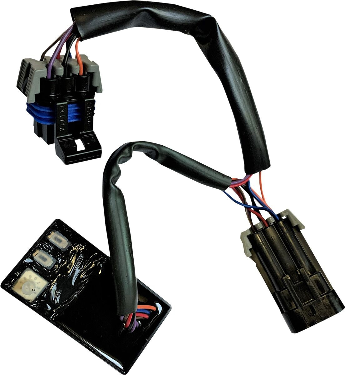 Custom Dynamics  Module 3Play Indian