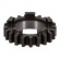 Andrews, countershaft 2nd gear. 21T 37-84 4-speed FL, 71-79 FX OEM rep Andrews, countershaft 2nd gear. 21T 37-84 4-speed FL, 71-79 FX OEM rep