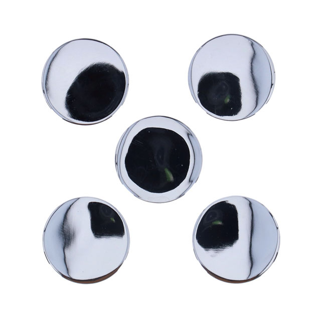 End plug, pivot shaft swingarm 06-17 Dyna