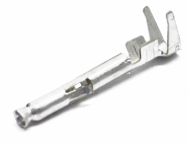 Stifthona till kontakthus, hona