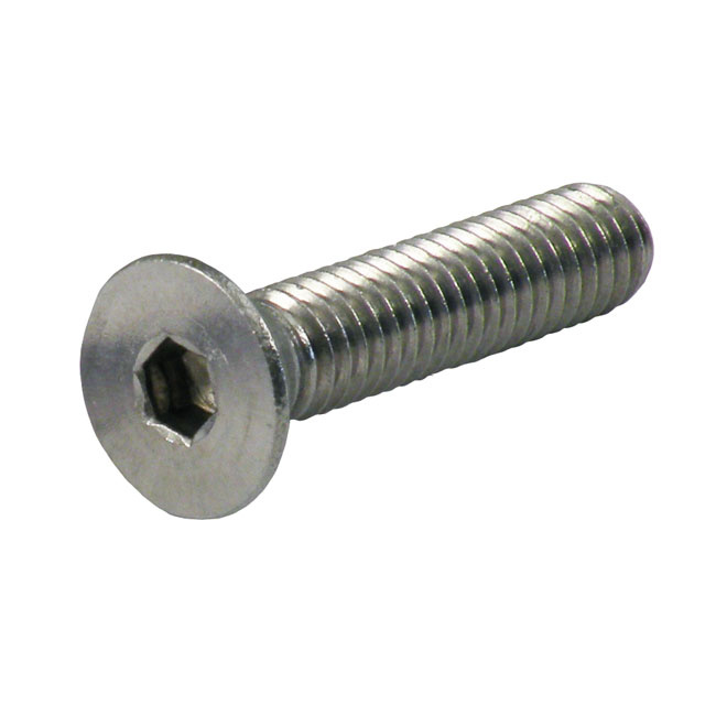1/4-20 X 1 Inch Flathead Allen Bolt Ss