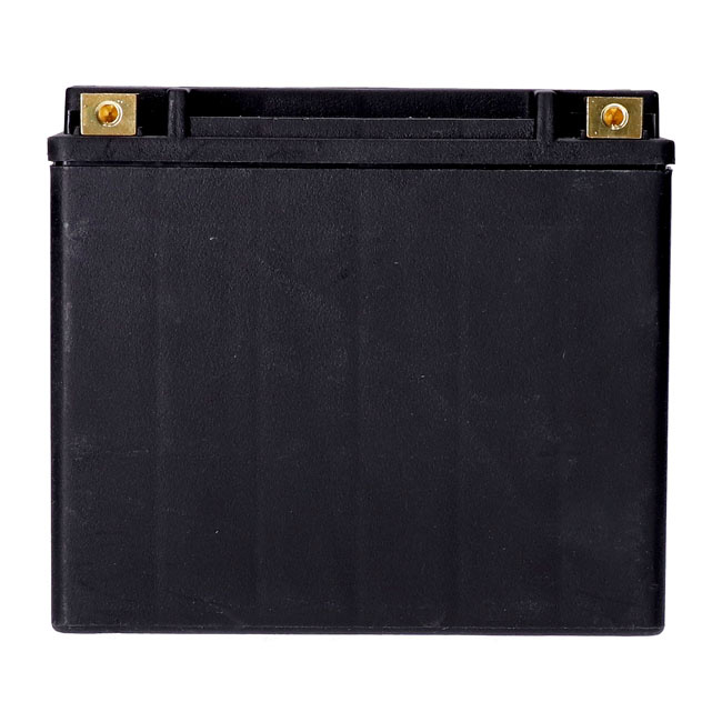 Mcs, Standard Series - Agm Sealed Battery. 12V, 20Ah. 320Cca Harley: 9