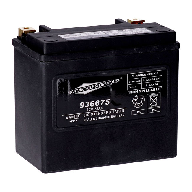 Mcs, Standard Series - Agm Sealed Battery. 12V, 22Ah. 325Cca 73-86 Fxe