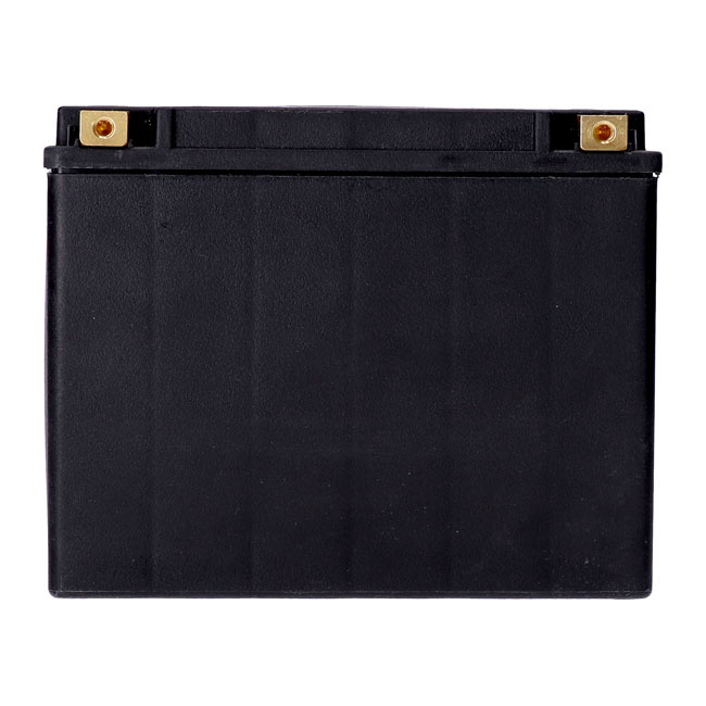 Mcs, Standard Series - Agm Sealed Battery. 12V, 23Ah. 360Cca 80-96 Flt