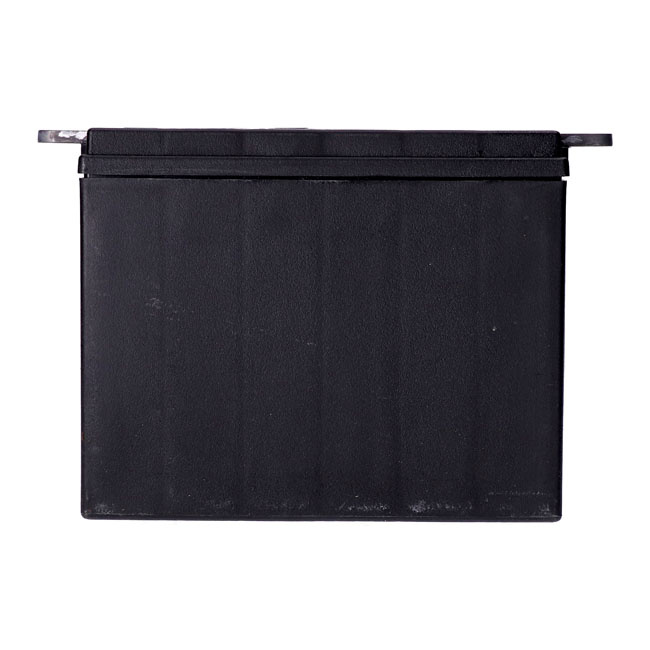 Mcs, Standard Series - Agm Sealed Battery. 12V, 30Ah. 370Cca 65-84 Fl,