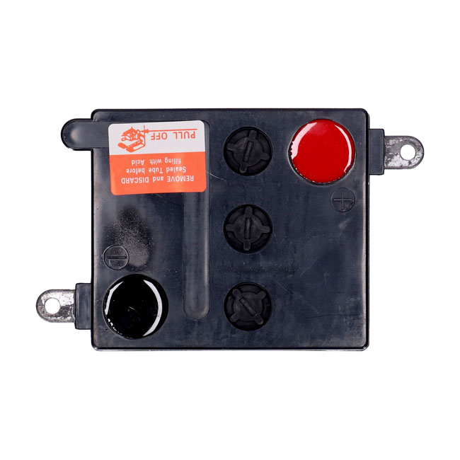 Mcs, Battery. 6V, 22Ah 41-64 Fl, 32-63 Ge Servi-Car (6-V). With Oem 6-