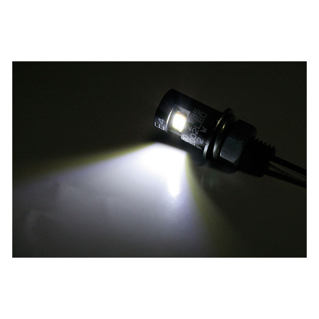 Burdett, Led License Plate Mount Bolt  D. 12 Mm X L. 17 Mm, M8 Bolt