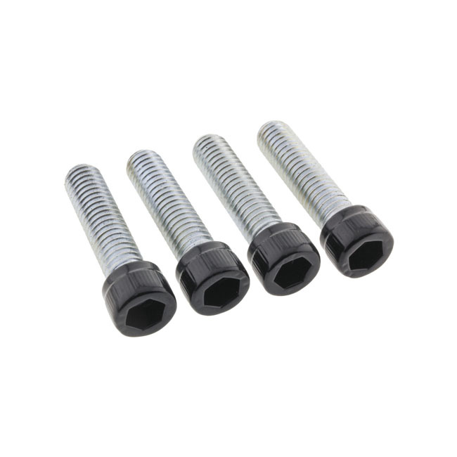 Screws4Bikes, Bolt Kit. Foot Pegs Rider 18-23 M8 Softai