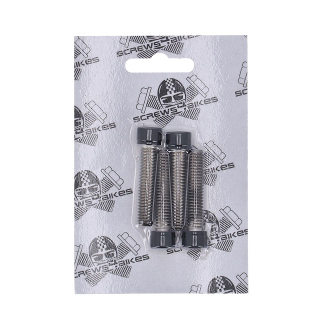 Screws4Bikes, Bolt Kit, Front Fender 10-21 Xl1200X, 18-