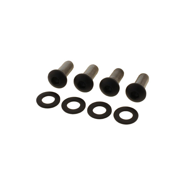 Screws4Bikes, Bolt Kit, Fender Struts 21-23 Nightster R