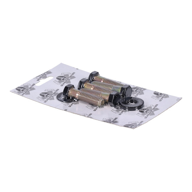 Screws4Bikes, Bolt Kit, Pulley 93-99 Softail, 93-99 Dyn