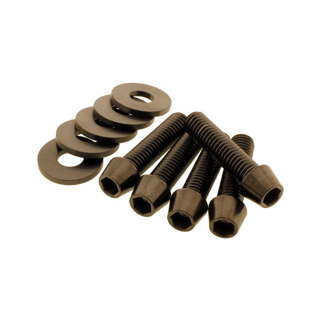 Screws4Bikes, Bolt Kit, Pulley Softail, 93-99 Dyna, 91-