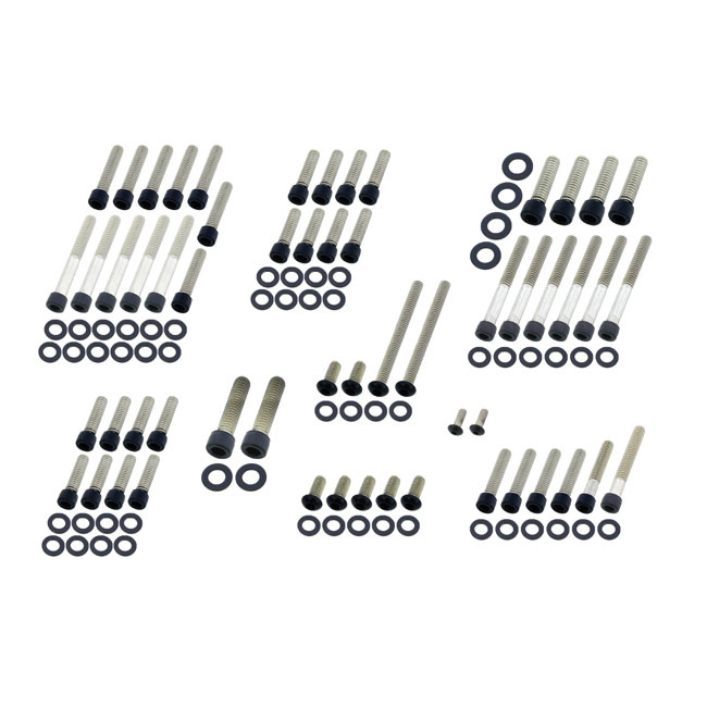 Screws4Bikes, Engine Bolt Kit 1999 Evo Big Twin  Matte