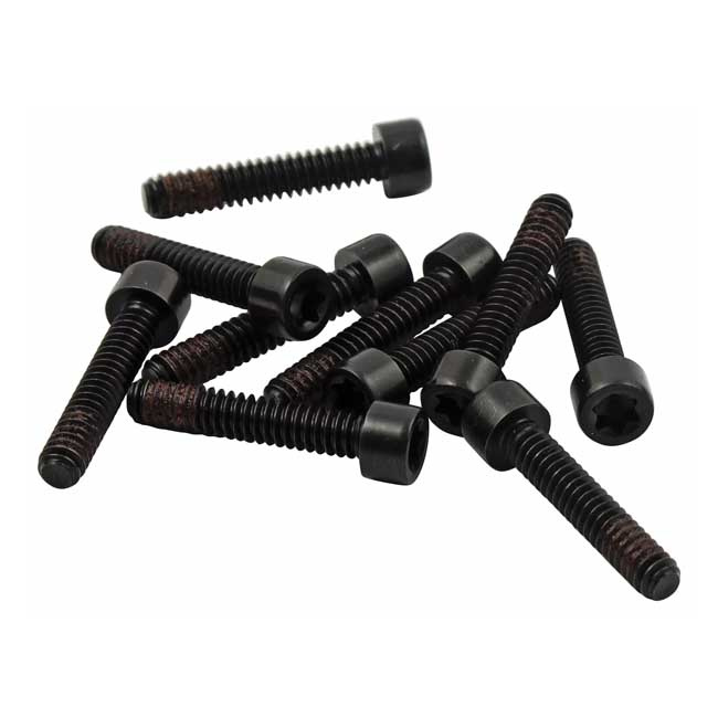 Bolt, Alternator Stator Mount 89-99 Evo B.T., 00-06 Softail Twin Cam,