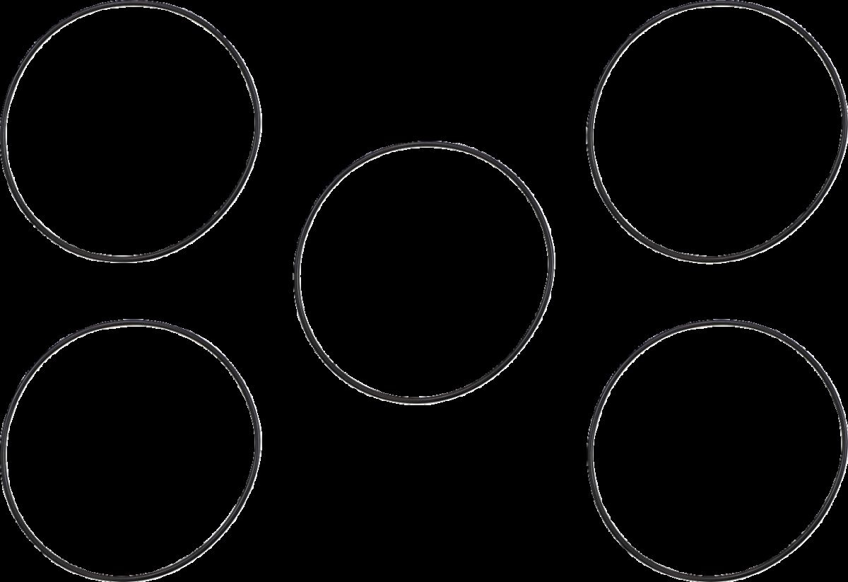 James Gasket Gasket Clutch Cover Derby Cvr 0-Ring 99-06 Bt