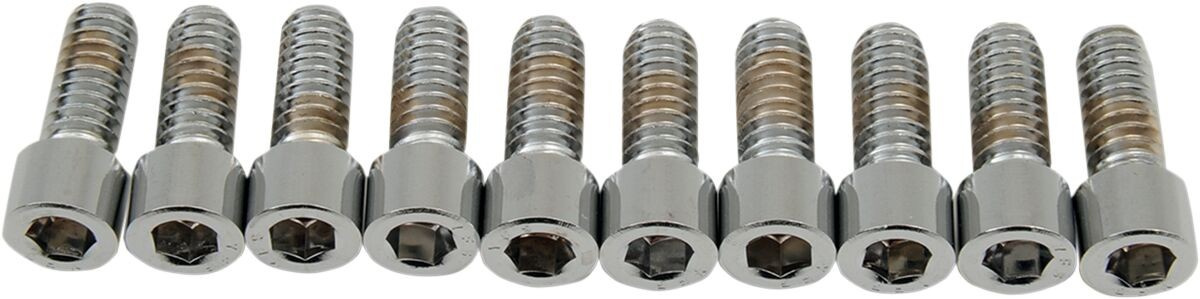 Drag Specialties Socket-Head Bolt 1/4-20X0.625 Smooth Chrome 1/4-20 X