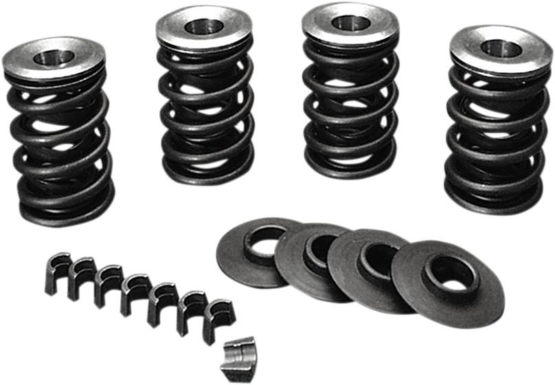Jims Valve Spring Kit .600
