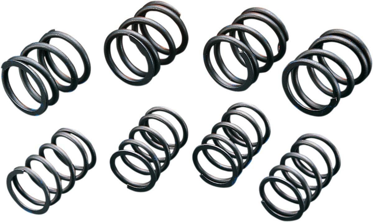 Andrews High-Lift Valve Springs H-Lft 74/80 Springs