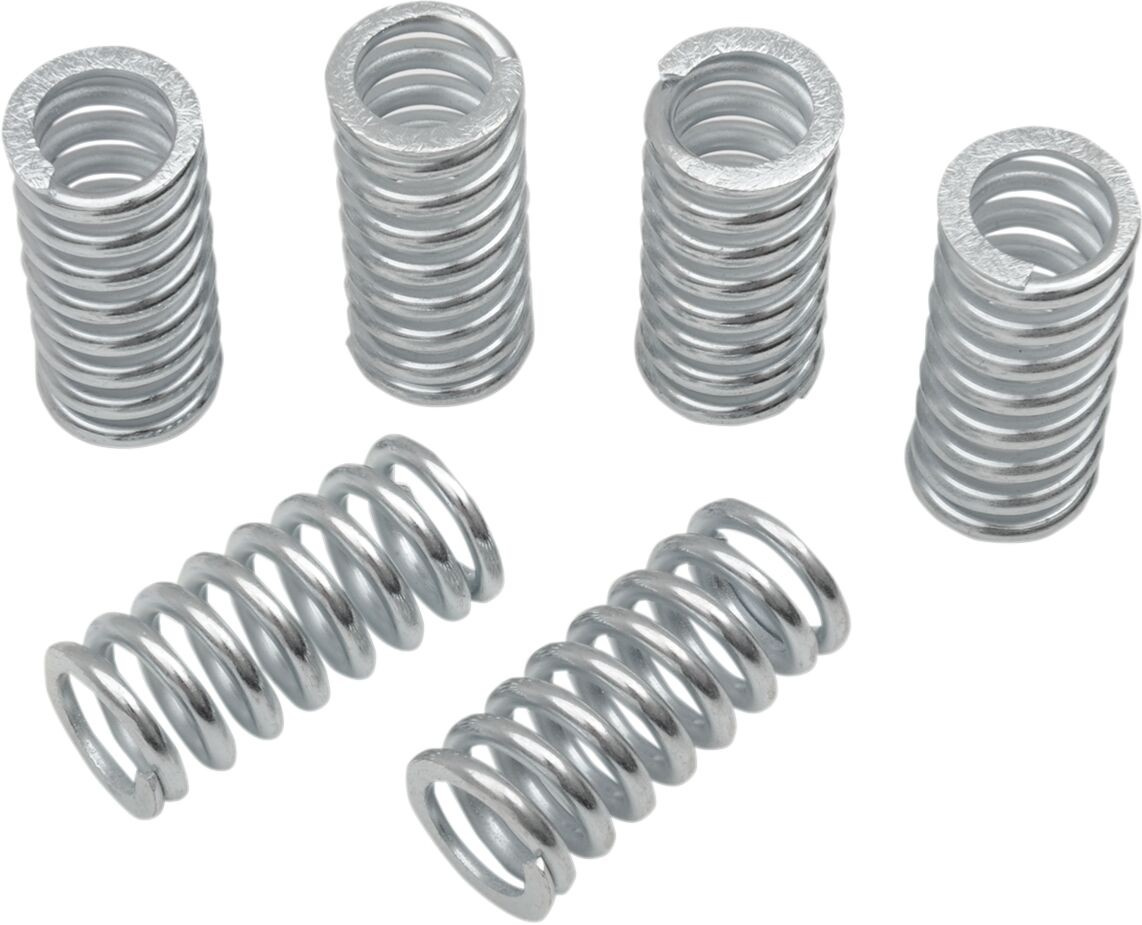 Belt Drives Ltd. Clutch Springs 6 Pack Clutch Springs 6 Pack