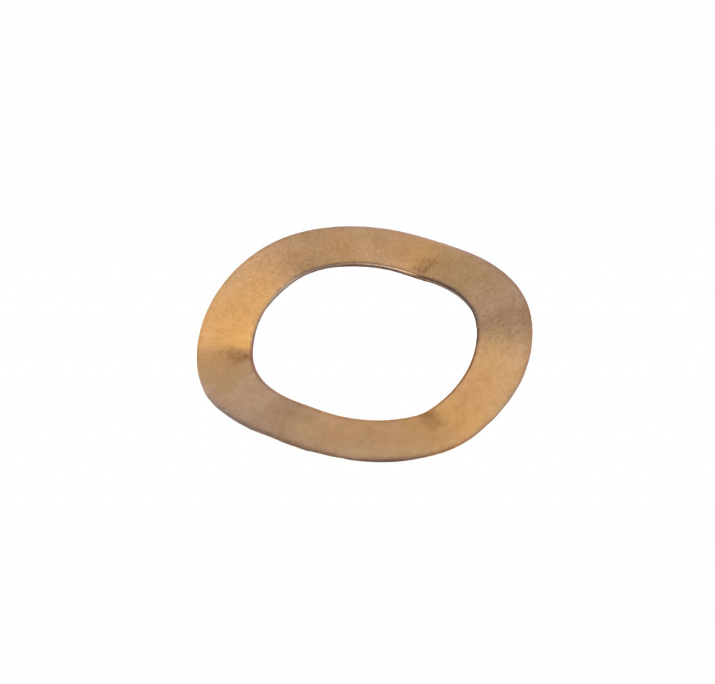 Harley Davidson Spring,Frt Rotor OEM: 41500019